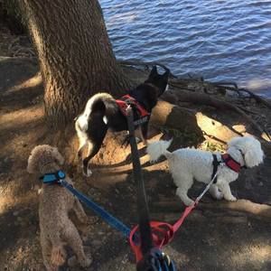 Meet your Posher, Tracy